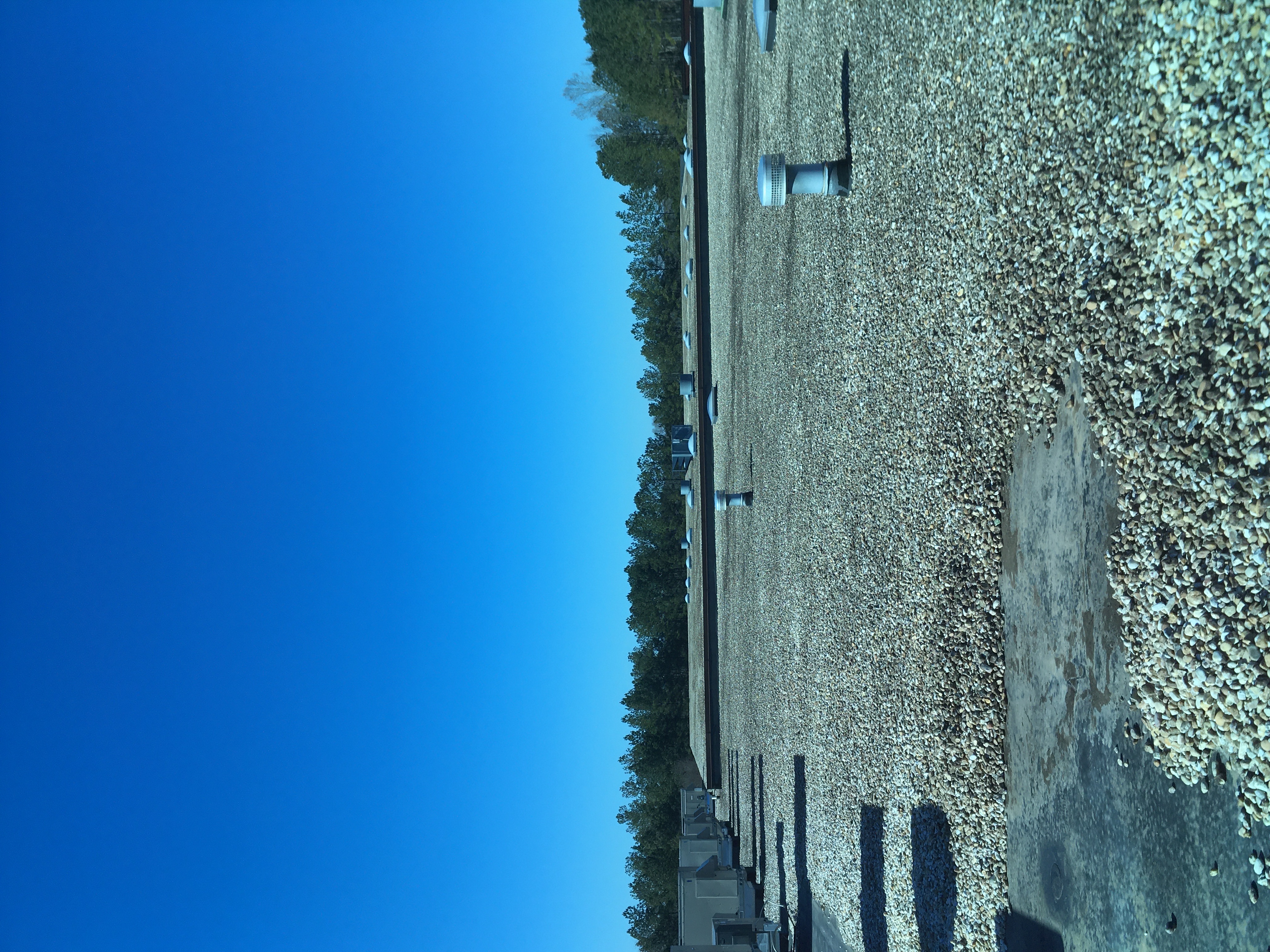 Checkin Photo
