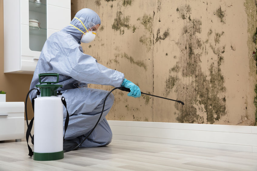 Man In Protective Uniform Spraying Solution On Mold Damaged Wall With Sprayer