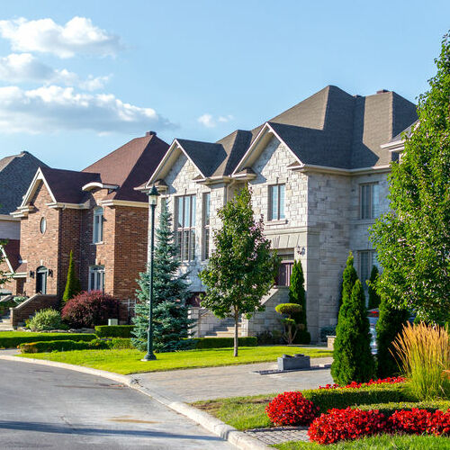 houses aligned in street